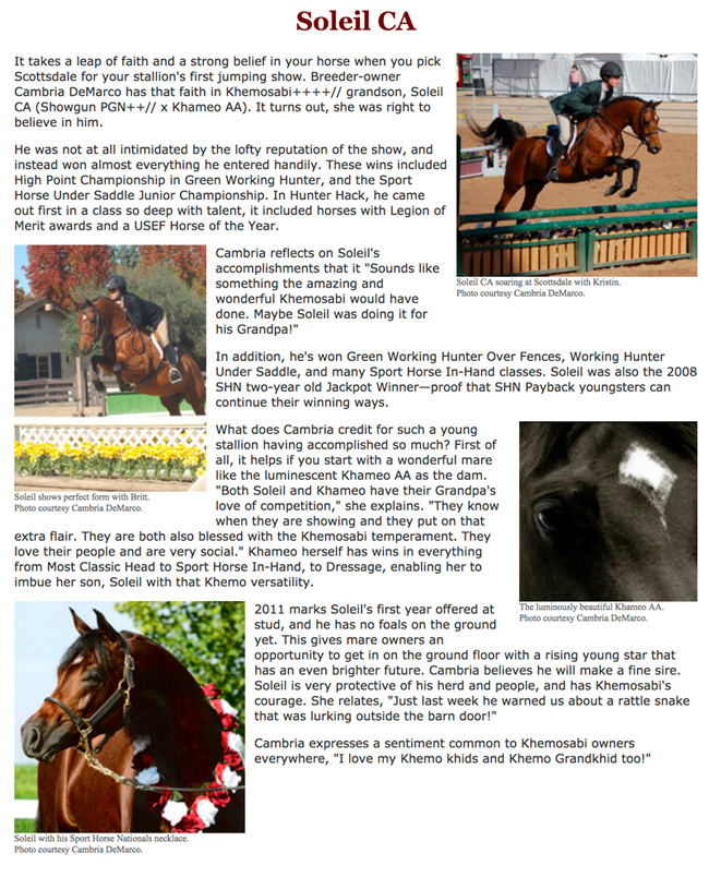 2011sporthorse payback article