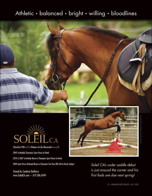 Arabian Horse World Magazine - July 2010